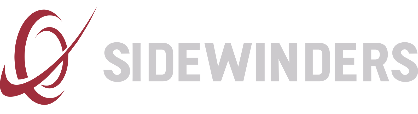 Sidewinders LLC
